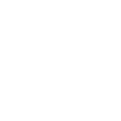 Logo blanc - une fleur avec une étoile au milieu - nom de l'entreprise en dessous - l'instant bien être